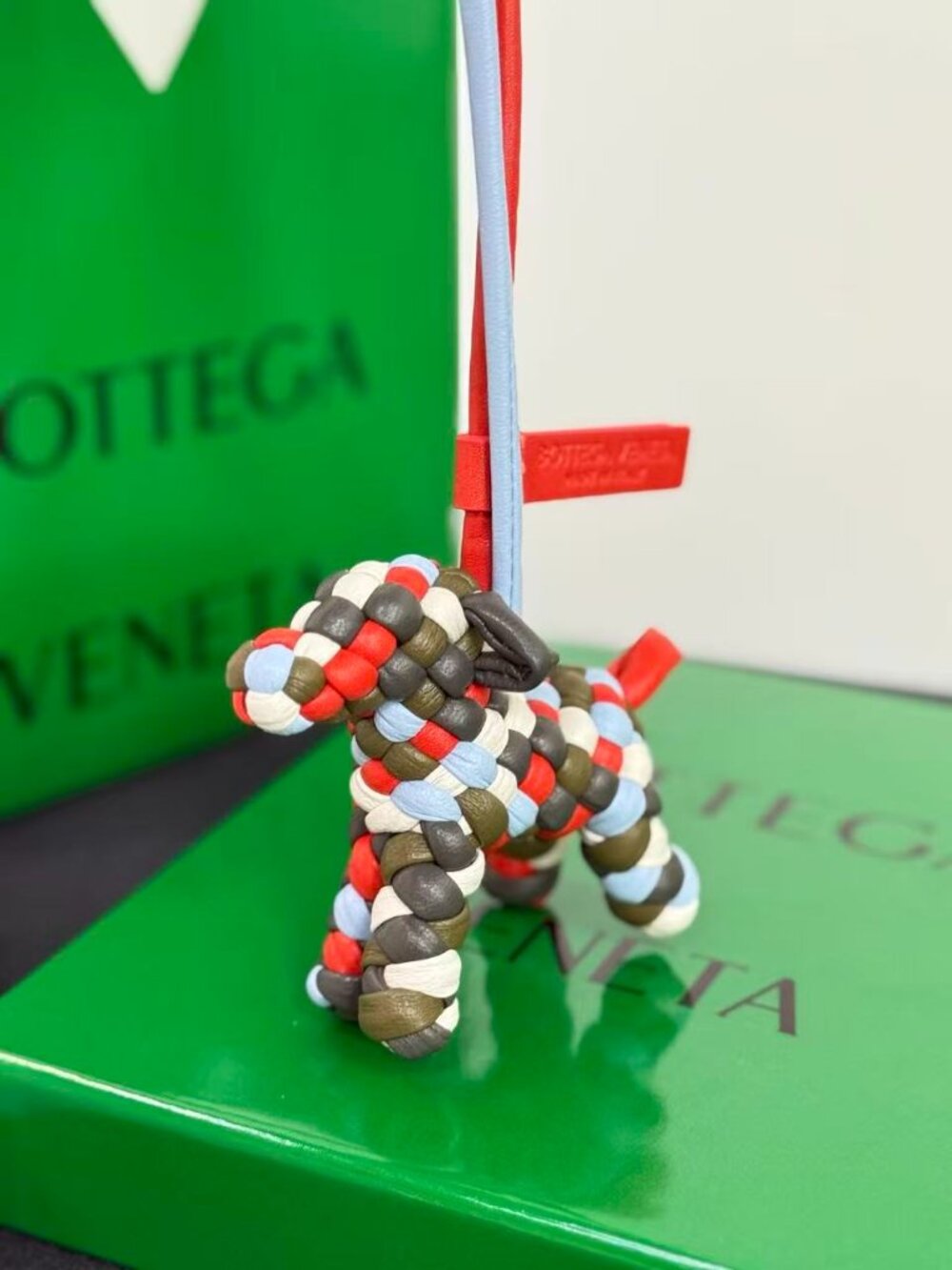 🥕Bottega Veneta dog charm